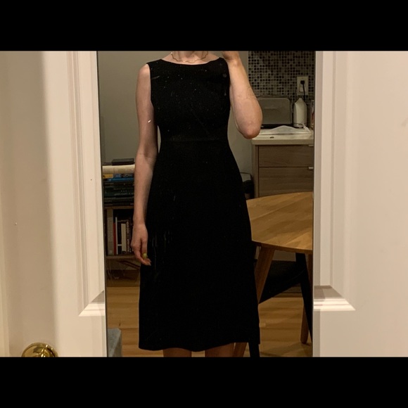 Aritzia Babaton A-Line Boat Neck Dress - Picture 2 of 5